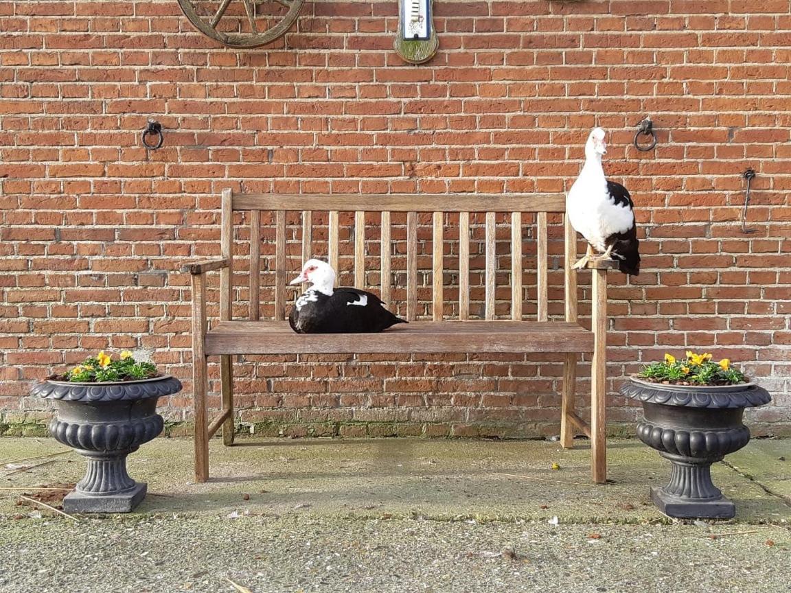 Wol Thus Villa Paesens Eksteriør bilde