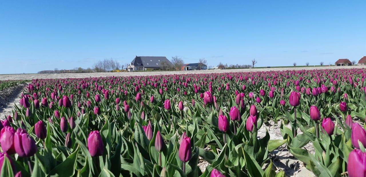 Wol Thus Villa Paesens Eksteriør bilde
